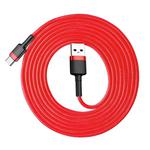 Baseus 2m 2A Max USB to USB-C / Type-C Data Sync Charge Cable(Red+Red)