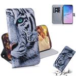 Tiger Pattern Coloured Drawing Horizontal Flip Leather Case for Galaxy S10 Plus, with Holder & Card Slots & Wallet