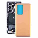 Back Cover for Huawei P40 Pro(Gold)