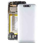 Battery Back Cover for ZTE Blade V8 BV0800 T80(Silver)