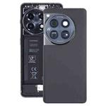 For OnePlus 12 PJD110 CPH2573 CPH2581 Original Glass Battery Back Cover with Camera Lens(Black)