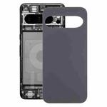 For Google Pixel 9 Original Battery Back Cover(Black)