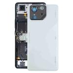 For Asus ROG Phone 8 Pro AI2401 AI2401_A Global Original Glass Battery Back Cover with Camera Frame(Grey)