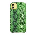 For iPhone 11 Snake Skin Pattern PU+PVC Material Shockproof Mobile Protective Case(Grass Cyan)