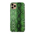 For iPhone 11 Pro Max Snake Skin Pattern PU+PVC Material Shockproof Mobile Protective Case(Grass Cyan)