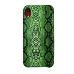 For iPhone XR Snake Skin Pattern PU+PVC Material Shockproof Mobile Protective Case(Grass Cyan)