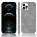 For iPhone 12 / 12 Pro Shockproof Litchi Texture PC + PU Case(Gray)