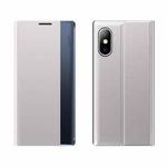 Side Window Display Magnetic Suction Plain Grain Flip PU Leather + PC Case with Holder For iPhone XS Max(Silver)