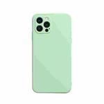 For iPhone 13 Pro Max Solid Color Cube Straight Edge Liquid Silicone Lining Flannel Case  (Green)