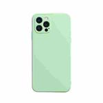 For iPhone 13 Pro Solid Color Cube Straight Edge Liquid Silicone Lining Flannel Case  (Green)