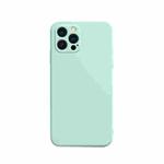 For iPhone 13 Pro Solid Color Cube Straight Edge Liquid Silicone Lining Flannel Case  (Cyan)