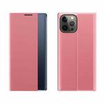For iPhone 13 Pro Side Window Display Magnetic Suction Plain Grain Flip PU Leather + PC Case with Holder(Pink)