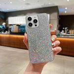 For iPhone 13 mini Glitter Sequins Epoxy TPU Phone Case(Silver)