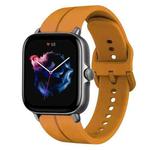 For Amazfit GTS 3 20mm Loop Silicone Watch Band(Amber Yellow)