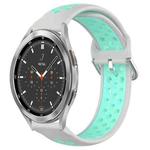 For Samsung  Galaxy Watch 4 Classic 46mm 20mm Perforated Breathable Sports Silicone Watch Band(Grey+Water Duck)