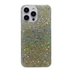 For iPhone 15 Pro Glitter Sequins Epoxy TPU Phone Case(Gold)