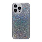 For iPhone 15 Pro Max Glitter Sequins Epoxy TPU Phone Case(Silvery)