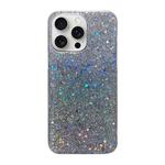 For iPhone 16 Pro Glitter Sequins Epoxy TPU Phone Case(Silvery)