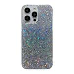 For iPhone 16 Plus Glitter Sequins Epoxy TPU Phone Case(Silvery)