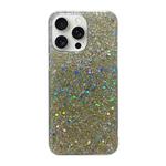 For iPhone 16 Pro Max Glitter Sequins Epoxy TPU Phone Case(Gold)