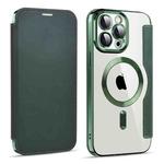 For iPhone 15 Pro Max MagSafe Magnetic RFID Anti-theft Leather Phone Case(Green)
