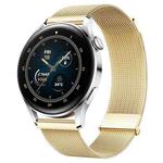 For Huawei Watch3 / Watch3 Pro Milan Double Magnetic Steel Mesh Watch Band(Gold)