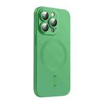 For iPhone 16 Pro Max ENKAY MagSafe Matte TPU Phone Case with Lens Film(Green)