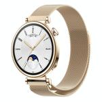 For Huawei Watch GT4 41mm Milan Magnetic Steel Mesh Watch Band(Champagne)