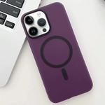 For iPhone 13 Pro Ice Fog MagSafe PC Phone Case(Purple)