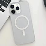 For iPhone 11 Pro Ice Fog MagSafe PC Phone Case(White)