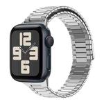 For Apple Watch SE 2023 40mm Bamboo Magnetic Stainless Steel Metal Watch Strap(Silver)