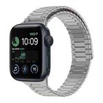 For Apple Watch SE 2022 40mm Bamboo Magnetic Stainless Steel Metal Watch Strap(Titanium Color)