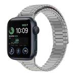 For Apple Watch SE 2022 44mm Bamboo Magnetic Stainless Steel Metal Watch Strap(Titanium Color)