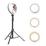 JMARY FM-536A 10 inch Ring Live Fill Light Streaming Stand Beauty Light Set