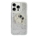 For iPhone 15 Pro Max Cat Claw Mirror TPU Phone Case(Silver)