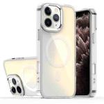 For iPhone 11 Pro Max Bright Shadow Magsafe Discoloration Phone Case(Grey)