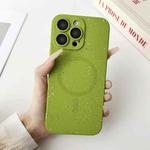 For iPhone 12 Pro Starry Sky TPU Shockproof MagSafe Phone Case(Green)