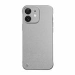 For iPhone 12 Frameless Litchi Texture PC Phone Case(Titanium Silver)