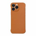 For iPhone 11 Pro Max Frameless Litchi Texture PC Phone Case(Orange)