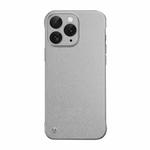 For iPhone 11 Pro Max Frameless Litchi Texture PC Phone Case(Titanium Silver)