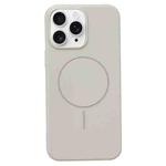 For iPhone 11 Pro Max Glossy MagSafe Shockproof TPU Phone Case(Rock Color)