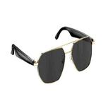 W100C Smart Glasses, Support AI Conversation / AI Intelligent Translation / Bluetooth Call(Black)