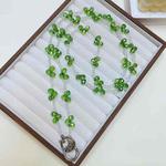 Drop Crystal Crosses The Phone Chain(Green)