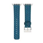 For Apple Watch Series 8&7 41mm / SE 2&6&SE&5&4 40mm / 3&2&1 38mm Braided Strap(Blue)