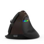 DELUX M618Mini Colorful Wireless Luminous Vertical Mouse Bluetooth Rechargeable Vertical Mouse(Elegant black)