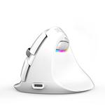 DELUX M618Mini Colorful Wireless Luminous Vertical Mouse Bluetooth Rechargeable Vertical Mouse(Color white)