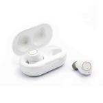 GM-305 Binaural Magnetic Rechargeable Hearing Aid Wireless Elderly Voice Amplifier(White)