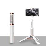 Bluetooth Selfie Stick with Tripod Multi-function Gimbal Mobile Phone Fill Light Live Support(White Gold)