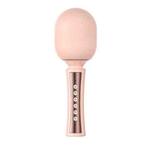 T16 Wireless Microphone Speaker Disinfection Bluetooth Microphone, Style: Basic Edition (Pink)