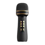 WS898 Live Wireless Bluetooth Microphone with Audio Function(Black)